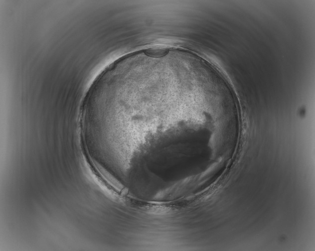 X0000116491235200912231145