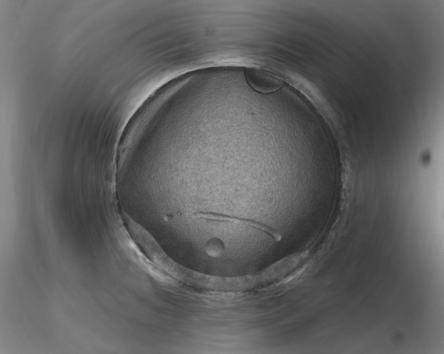 X0000116491236200912231145