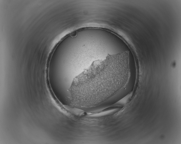 X0000116491237200912231145