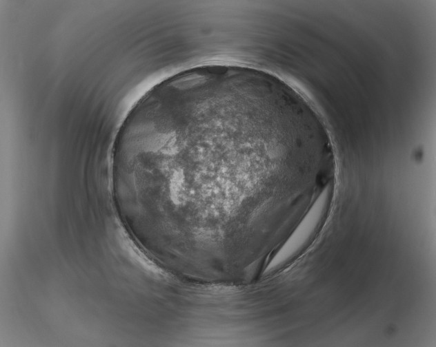 X0000116491238200912231145