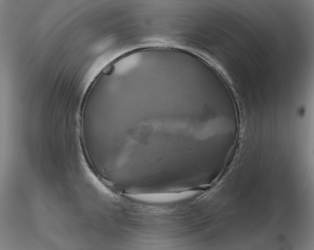 X0000116491239200912231145