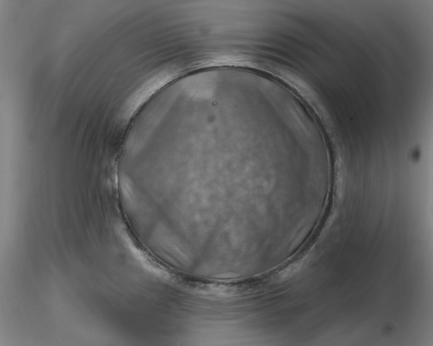 X0000116491241200912231145