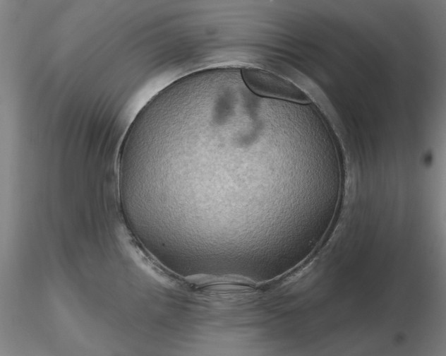 X0000116491242200912231145