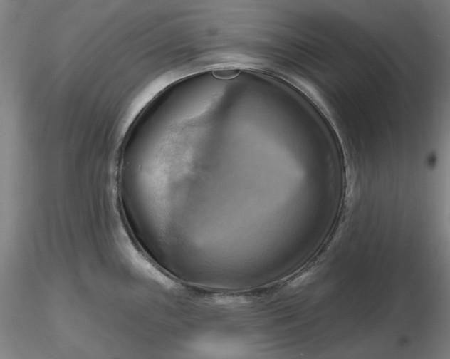 X0000116491243200912231145