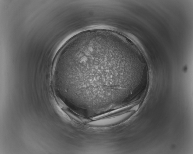 X0000116491244200912231145