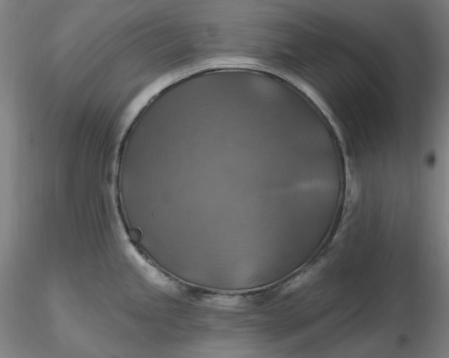 X0000116491245200912231145