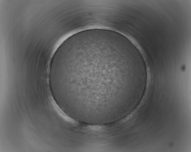 X0000116491246200912231145