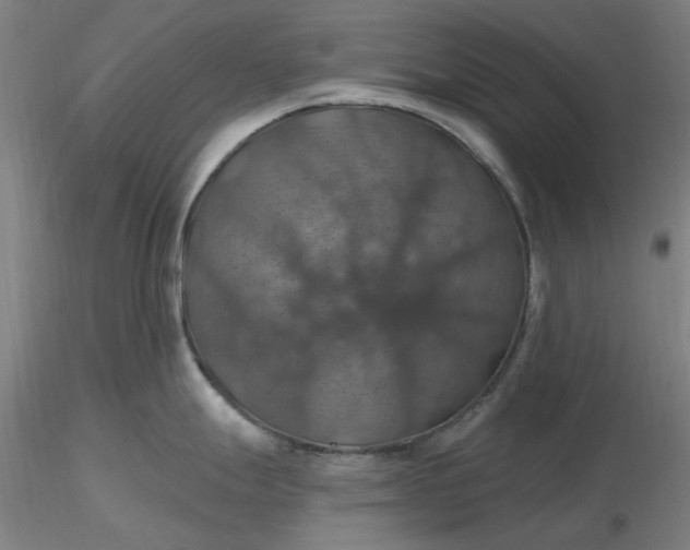 X0000116491247200912231145