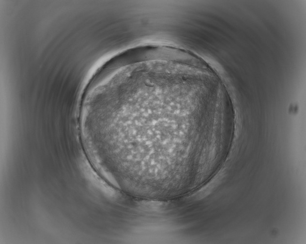 X0000116491248200912231145