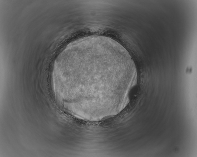 X0000116491249200912231144