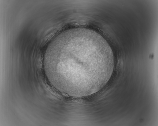 X0000116491250200912231144