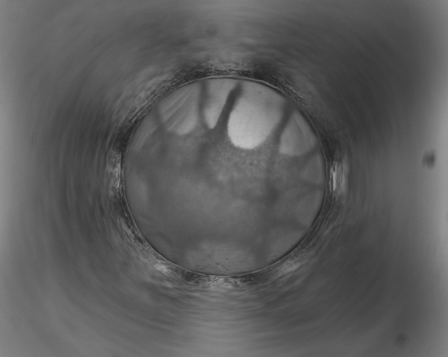 X0000116491251200912231144