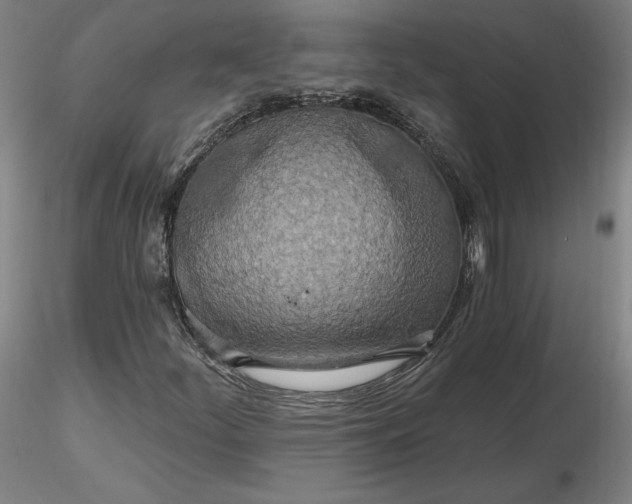 X0000116491252200912231144