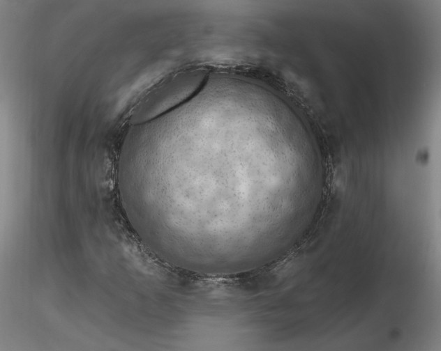 X0000116491253200912231144