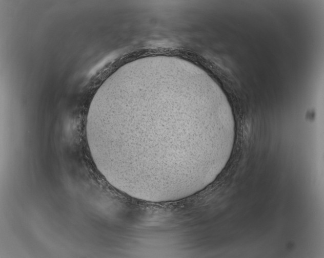 X0000116491254200912231144