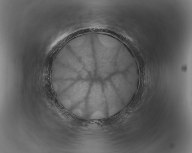 X0000116491255200912231144