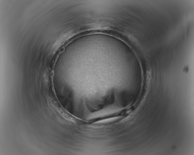 X0000116491257200912231144