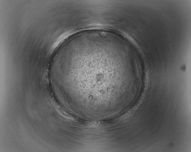 X0000116491259200912231144