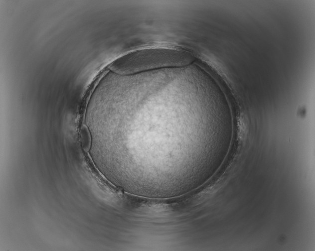 X0000116491260200912231144