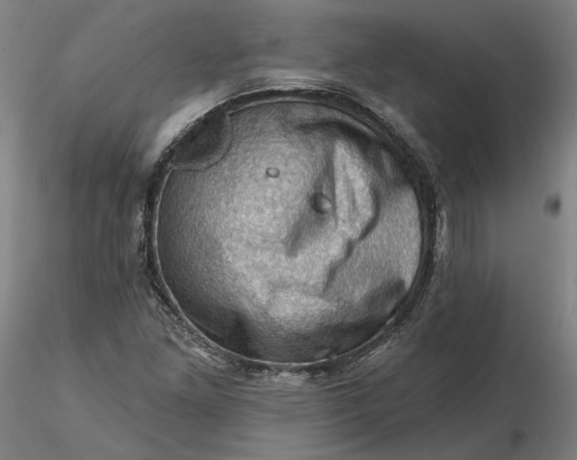 X0000116491261200912231144