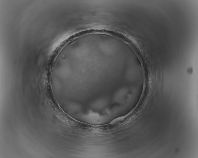 X0000116491263200912231144