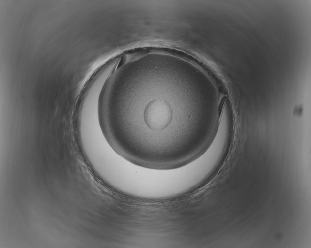 X0000116491264200912231144