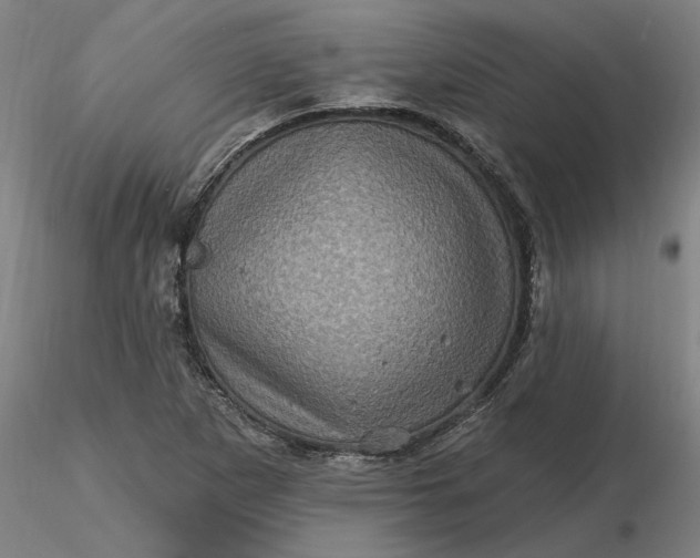 X0000116491265200912231144