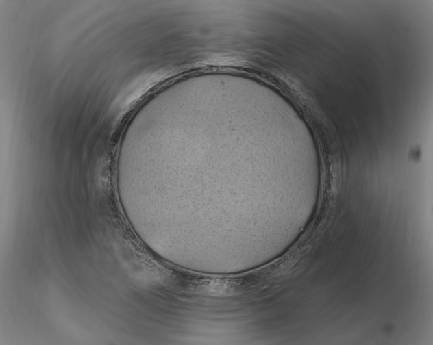 X0000116491266200912231144