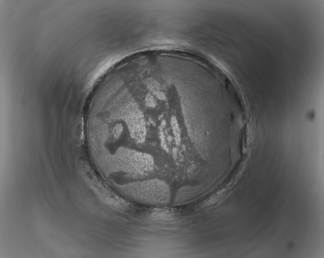 X0000116491267200912231144