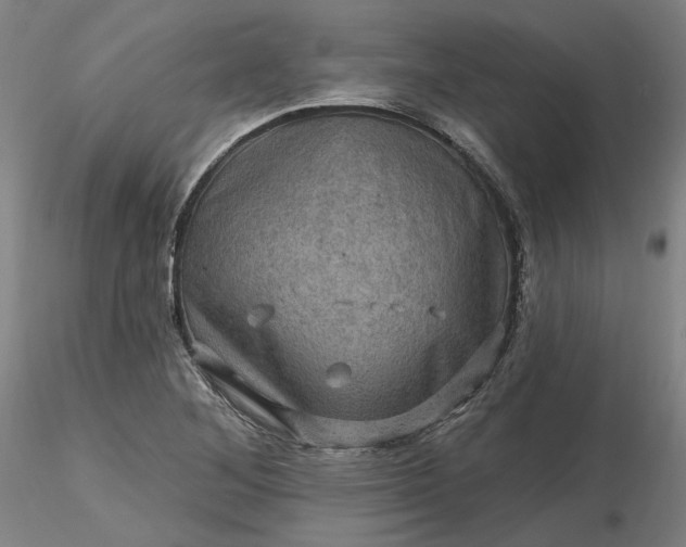 X0000116491268200912231144