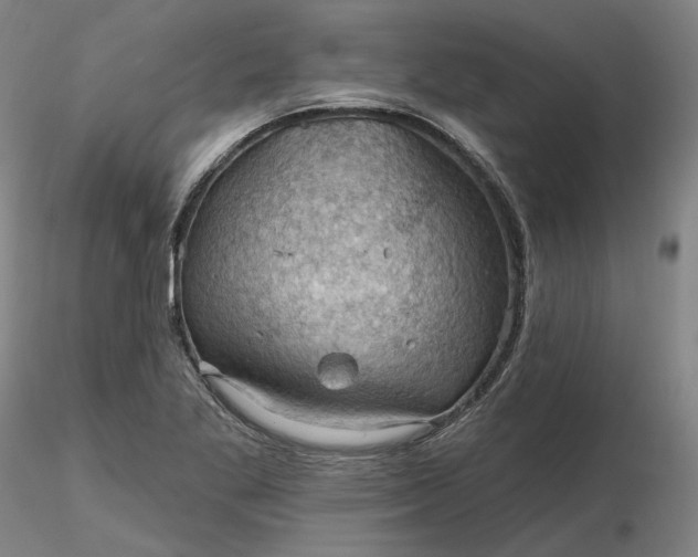 X0000116491269200912231144