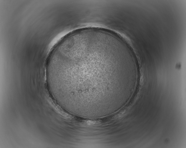 X0000116491271200912231144