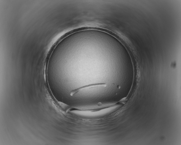 X0000116491272200912231144