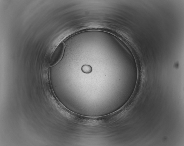 X0000116491273200912231144