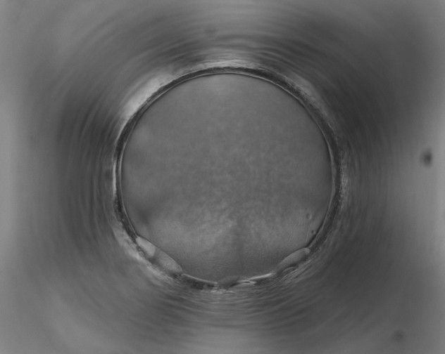 X0000116491274200912231144