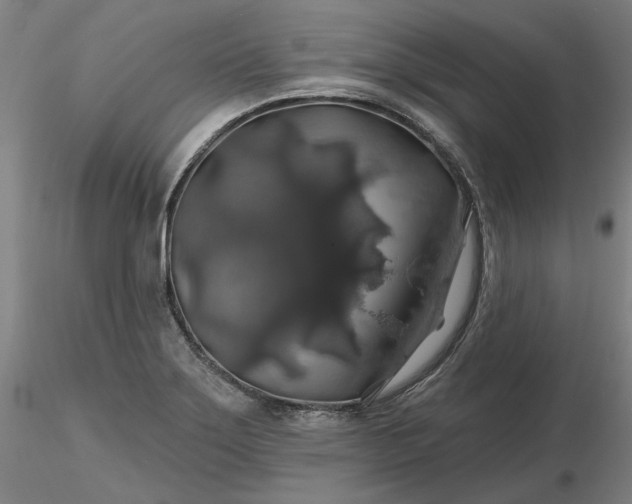 X0000116491275200912231144