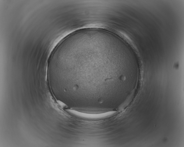 X0000116491276200912231144