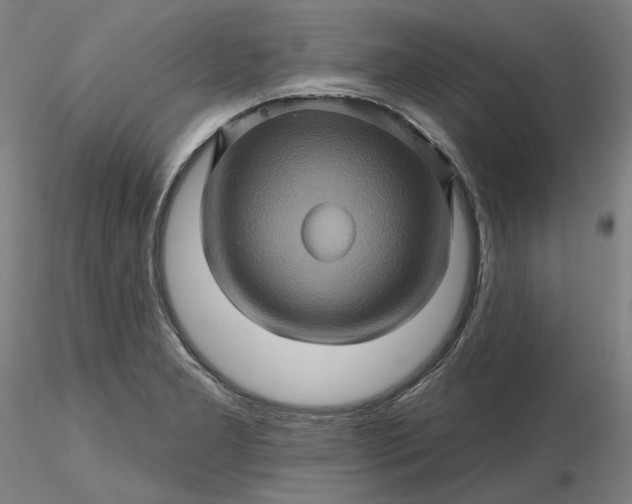 X0000116491277200912231144