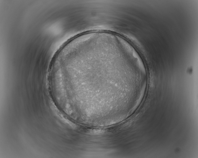 X0000116491278200912231144