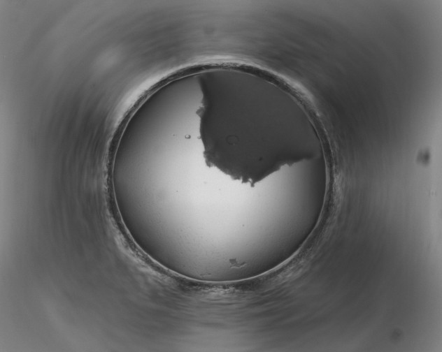 X0000116491279200912231144