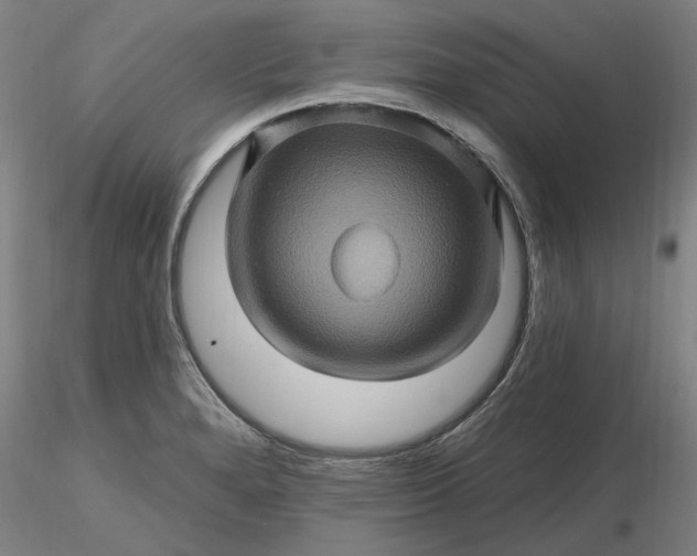 X0000116491280200912231144