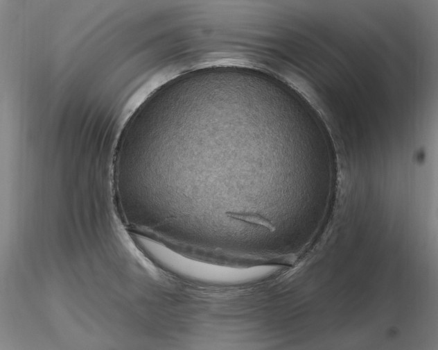 X0000116491282200912231144