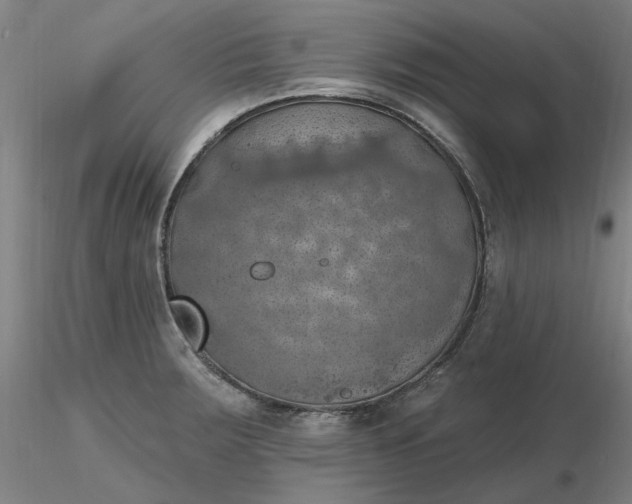 X0000116491283200912231144