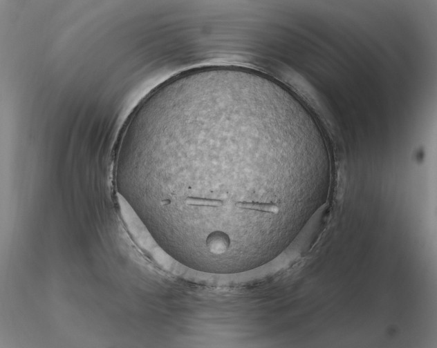 X0000116491284200912231144