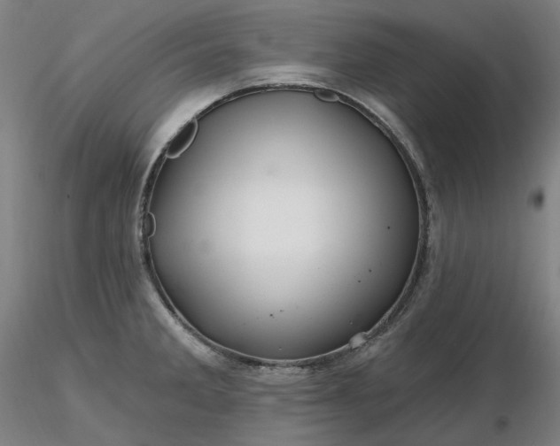 X0000116491285200912231144