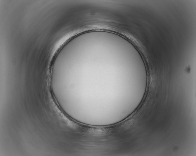 X0000116491286200912231144