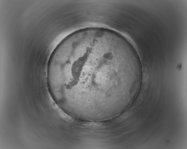 X0000116491287200912231144