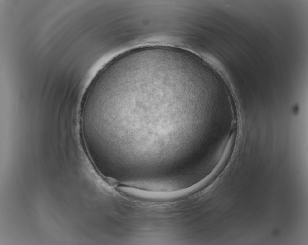 X0000116491288200912231144