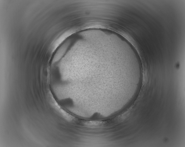 X0000116491290200912231144