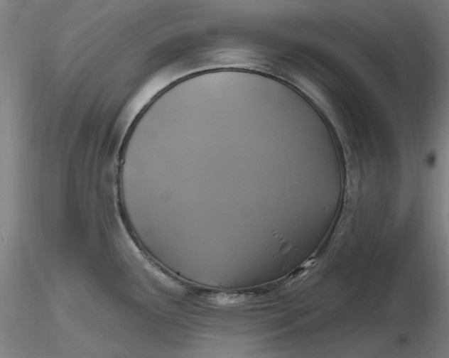 X0000116491291200912231143